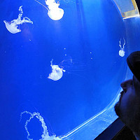 pupak - gay de 32 ans