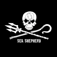 jackdaniels62110 - homme bisexuel de 45 ans