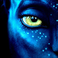 karibou14 - homme bisexuel de 60 ans