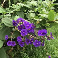 grosminet84 - homme bisexuel de 73 ans