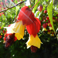 jessy2506 - gay de 45 ans