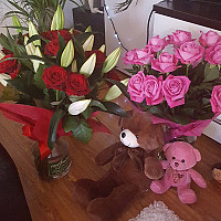 sandrah0214 - lesbienne de 42 ans