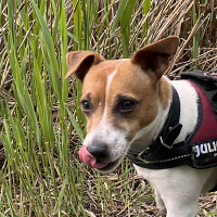 jerandro - gay de 39 ans