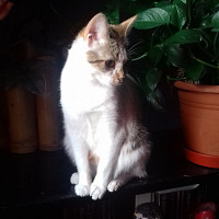 bibiche75014 - homme bisexuel de 66 ans