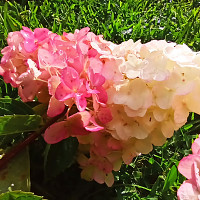 hommelandes - homme bisexuel de 51 ans