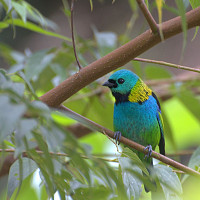 petiteballade22 - lesbienne de 42 ans