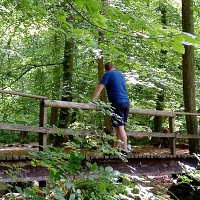 furbacchione - homme bisexuel de 41 ans