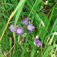 xave46 - gay de 52 ans