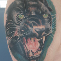 rubalise - homme bisexuel de 64 ans