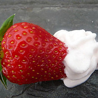 toi-et-moi-et-nous - homme bisexuel de 60 ans