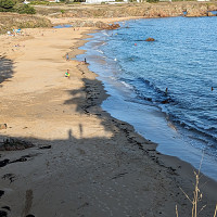 captwhip17 - homme bisexuel de 69 ans