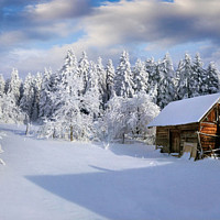 ludo84084 - homme bisexuel de 43 ans