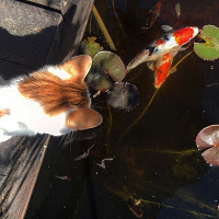 1jessy - gay de 46 ans