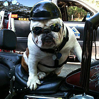 romain10 - homme bisexuel de 35 ans