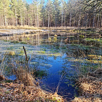 oursdoux - homme bisexuel de 62 ans