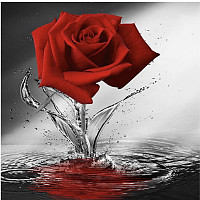 girafon - lesbienne de 46 ans