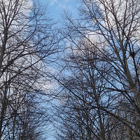 photographe-94 - homme bisexuel de 38 ans