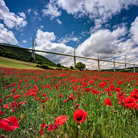 ziggi - gay de 70 ans
