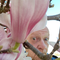 senior91sud - homme bisexuel de 64 ans