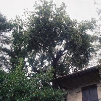 laurent157 - homme bisexuel de 54 ans