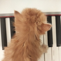 abstrus - lesbienne de 39 ans