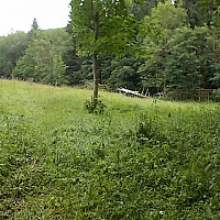 thierry456 - gay de 55 ans