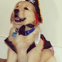 ydann86 - homme bisexuel de 39 ans