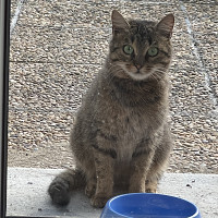 marcdady - gay de 70 ans