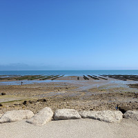 thortue - homme bisexuel de 54 ans