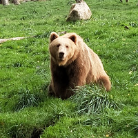 doudou762 - homme bisexuel de 61 ans
