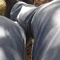 pourquoipas31 - homme hétéro curieux de 68 ans
