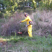 aveyronais - homme bisexuel de 72 ans