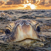 legrand1 - gay de 30 ans