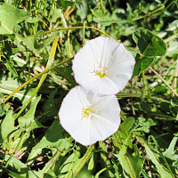 kimo58 - homme bisexuel de 47 ans