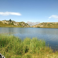 rico3826 - gay de 57 ans