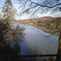 ram29 - gay de 65 ans