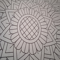 choute - homme bisexuel de 67 ans