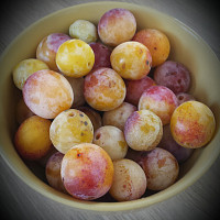 cmoi03 - homme bisexuel de 57 ans