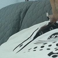 laurent3337 - homme bisexuel de 52 ans