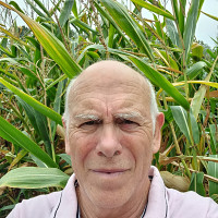 patrick66000 - gay de 69 ans