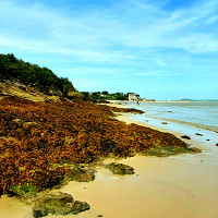 yannh - homme bisexuel de 69 ans