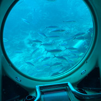 houla - gay de 40 ans