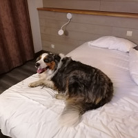 phil4006 - gay de 60 ans