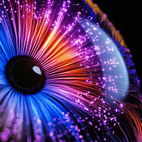 chevalier68 - homme bisexuel de 51 ans