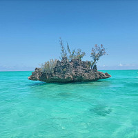 steph46 - lesbienne de 49 ans