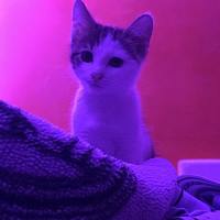 amaya - lesbienne de 21 ans