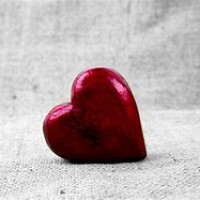 calin13-83 - homme bisexuel de 63 ans