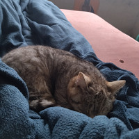 doriancadot - homme bisexuel de 22 ans