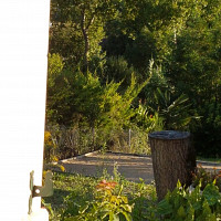 dama92 - homme bisexuel de 75 ans