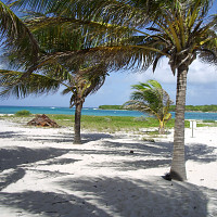 maxou78 - homme bisexuel de 70 ans